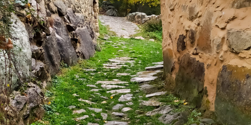 Carmen. La mujer que en cada surco de la piedra quiso dejar grabada su historia y la de los suyos.